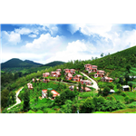 Ooty