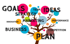 General Thoughts on Management