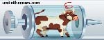 Unitethecows Image