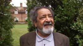 Tips on V.S. Naipaul