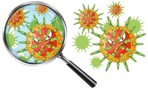 Tips on Blackworm Virus