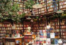 General Tips on Bookstores