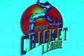 Indian Cricket League