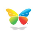 Vidushi Infotech Pvt Ltd