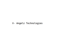 V- Angelz Technologies Pvt Ltd