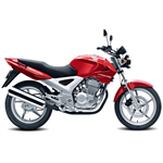 Honda CBX Twister Image