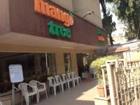 Mango Tree - Sadashiv Peth - Pune
