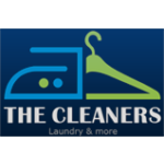 Thecleanersonline Image