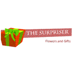 Thesurpriser Image