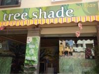 Tree Shade - Kumaraswamy Layout - Bangalore