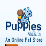 Puppies4Sale Image