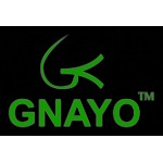 Gnayo Sanjeevani Water Filter