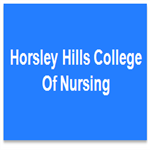 Horsley Hills College of Nursing - Machilipatnam