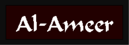 Al Ameer Institute of Management and Technology - Rajamundhry