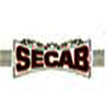 Malik Sandal Institute of Arts and Architecture - Bijapur