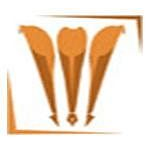 Advanced Institute of Pharmacy - Palwal