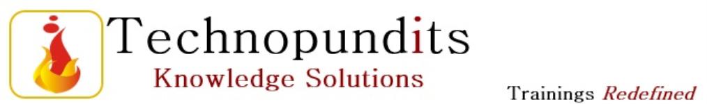 Technopundits Business Solutions Llp - Chennai