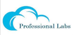 Professional Labs - Pune