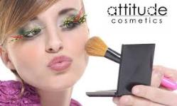 Attitude Face Makeup