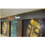Blissful The Spa - Rajouri Garden - Delhi