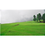 Sanasar Lake - Patnitop
