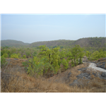 Climbers Point - Bandhavgarh