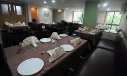 Flora - Ellis Bridge - Ahmedabad