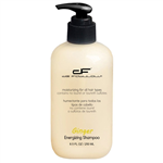 de Fabulous Ginger Energiz...