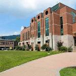 Smt. RS Patel Institute of Diploma Engineering - Palasar