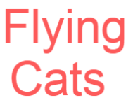 Flying Cats - Chennai