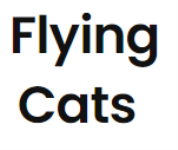 Flying Cats - Gurgaon
