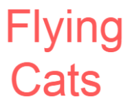 Flying Cats - Lucknow