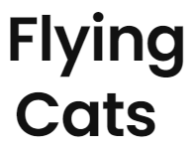 Flying Cats - Pune