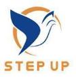 Step Up Training Solutions - Camp - Pune