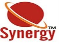 Synergy Institute - Sadashiv Peth - Pune