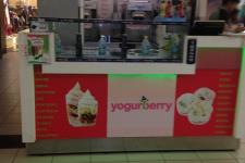 Yogurberry - Sector 38 - Noida