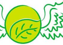 God Speed Tennis Academy - Kolkata