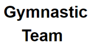 Gymnastic Team- Martial Arts and Gymnastics - Bangalore