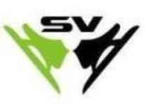 Ridima Skating Classes - Faridabad