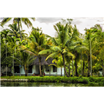 Palmy Lake Resort - Alleppey - Alappuzha