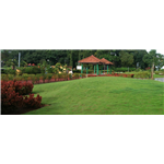 Joseph Baptista Garden - Mazgaon - Mumbai