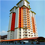 The Sparks - Mystic Heights - Kochi