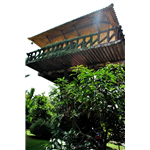 Tree House Homestay - Ernakulam - Kochi
