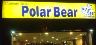 Polar Bear - Nehru Stadium - Coimbatore Image