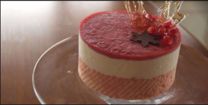 Tom & Jerry Cafe - Vijay Nagar - Indore