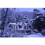 Deodar Lodge - Mallital - Nainital