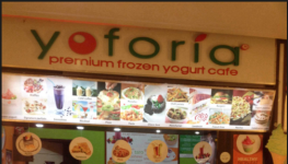 Yoforia Premium Frozen Yogurt Cafe - Gomti Nagar - Lucknow