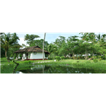 Marari Beach Homestay - Mararikulam - Alappuzha