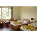 Hotel Lingzi - Old Fort Road - Leh