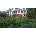 Niri la Ladakh Guest House - Chhubi Road - Leh